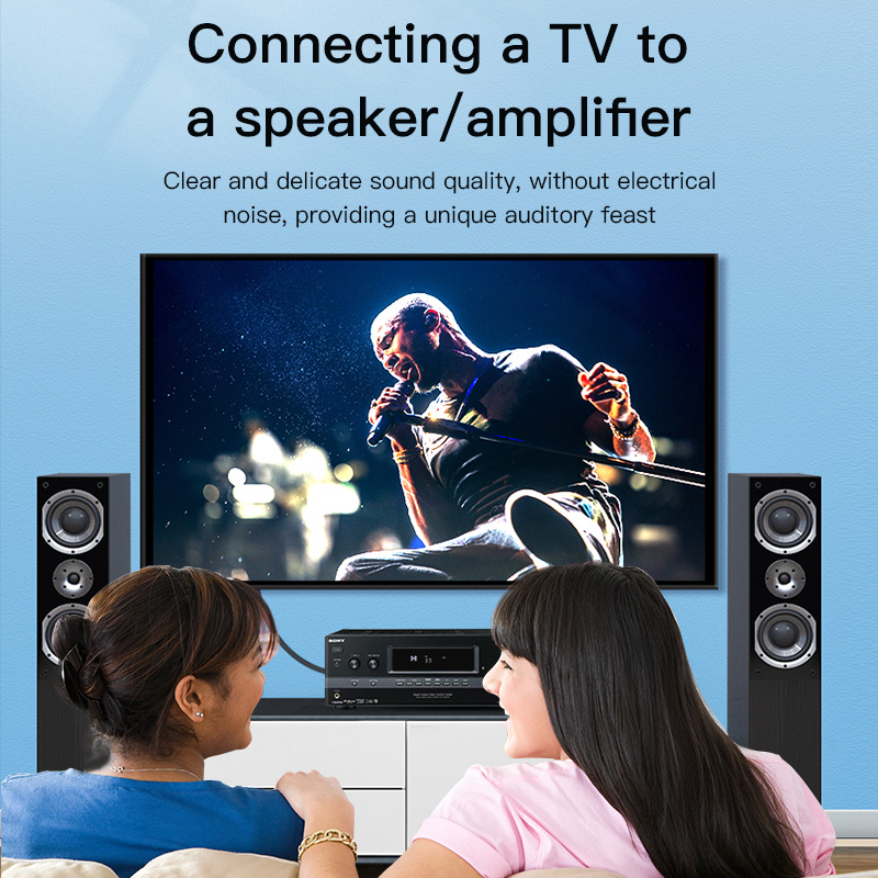 CHOSEAL RCAケーブル デジタル同軸オーディオケーブ - Home Cinema Tv のレビューと価格